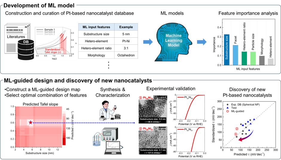 Standardization and Machine Learning Prediction of Tafel Slope of Pt-Based Nanocatalysts for High-Performance HER Cataly 이미지