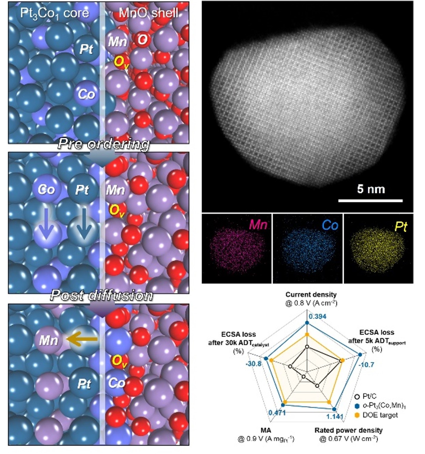 Tailoring Interfacial Oxygen Vacancy-Mediated Ordering inTernary Pt3 (Co,Mn)1 Intermetallic Nanoparticles forEnhanced Ox 이미지