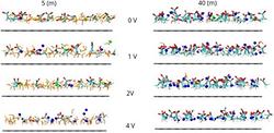 Atomic origins of electrochemical stability in acetate-based dual-cation water-in-salt electrolytes