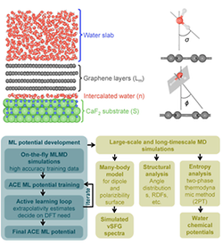 Machine-learning enhanced simulations predict graphene is hydrophobic and microscopically not wetting transparent