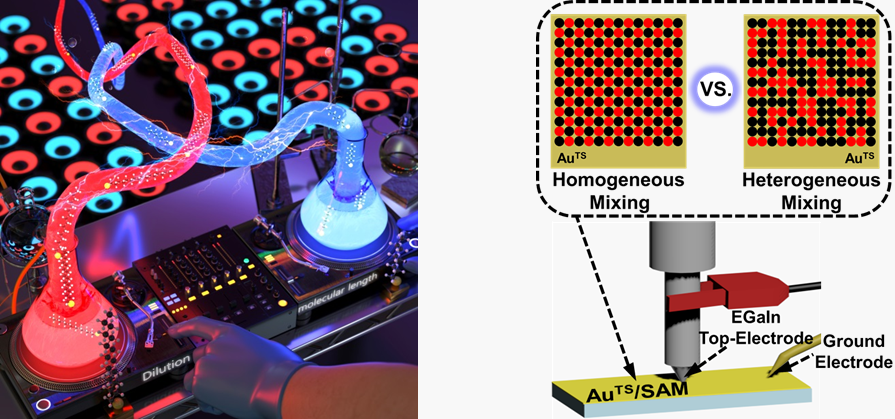 Deconvolution of Tunneling Current in Large-area Junctions Formed with Mixed Self-Assembled Monolayers 이미지