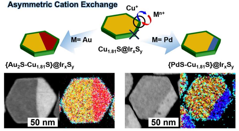 Janus Nanoparticle Structural Motif Control via Asymmetric Cation Exchange in Edge-Protected Cu1.81S@IrxSy Hexagonal Nanoplates 이미지