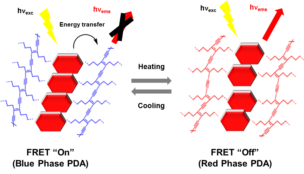 Covalently Linked Perylene Diimide–Polydiacetylene Nanofibers Display Enhanced Stability and Photocurrent with Reversible FRET Phenomenon 이미지
