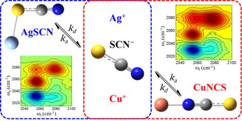 Effect of ion-ligand binding on ion pairing dynamics studied by two-dimensional infrared spectroscopy 이미지