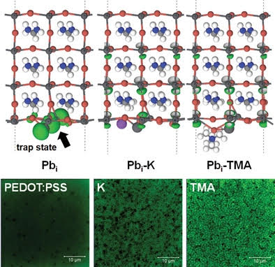 Conjugated Polyelectrolytes as Multifunctional Passivating and Hole‐Transporting Layers for Efficient Perovskite Light‐Emitting Diodes 이미지