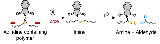 Enhanced Thermopower of Saturated Molecules by Noncovalent Anchor-Induced Electron Doping of Single-Layer Graphene Electrode 이미지
