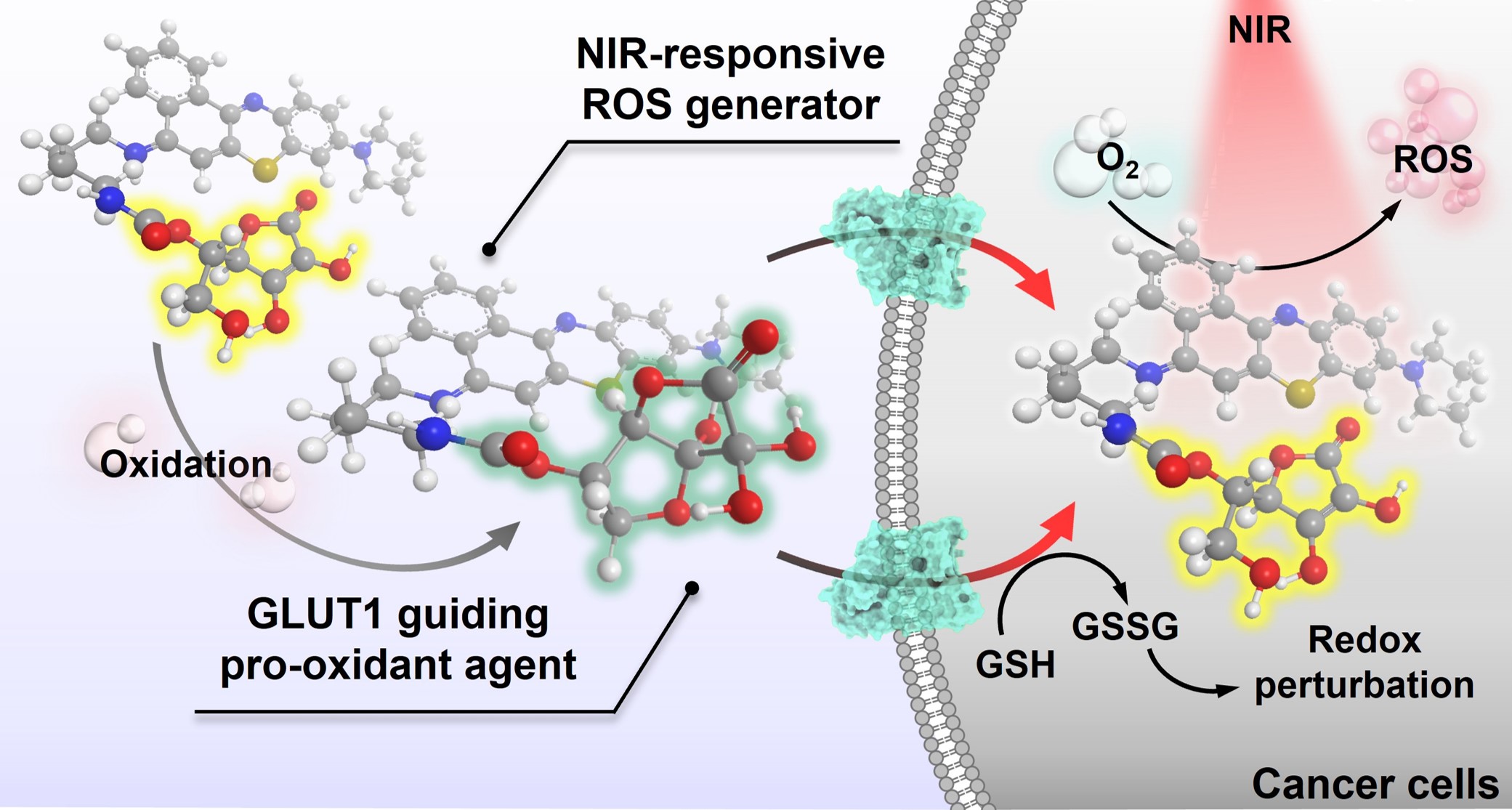 Ultranarrow Mid-infrared Quantum Plasmon Resonance of Self-doped Silver Selenide Nanocrystal 이미지