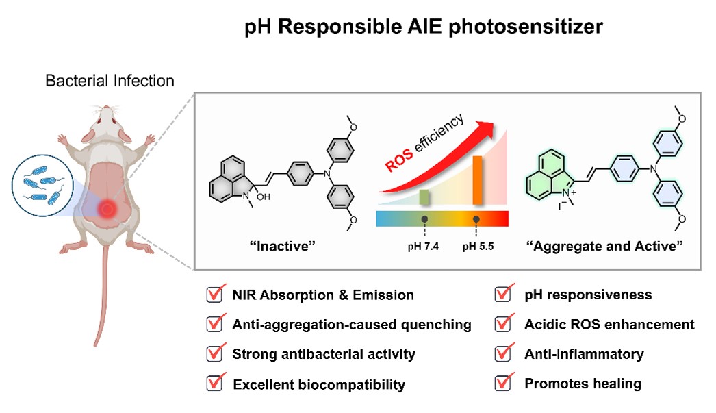 Qihang Ding-2.png.jpg
