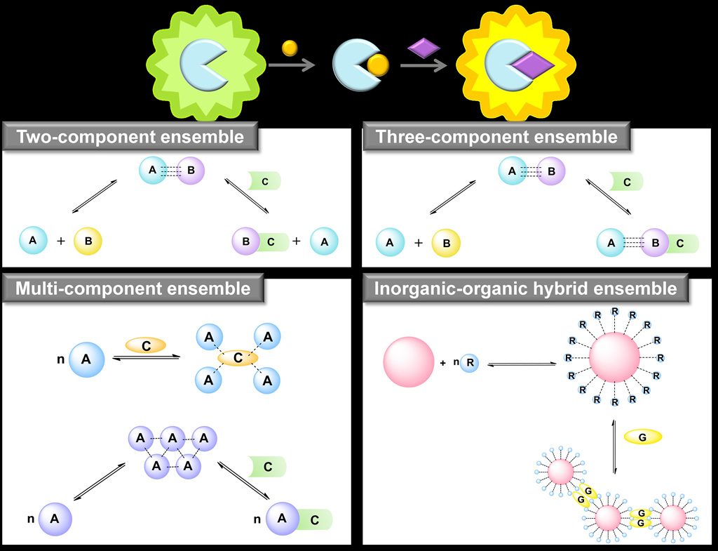 Chromogenic/Fluorogenic Ensemble Chemosensing Systems 이미지