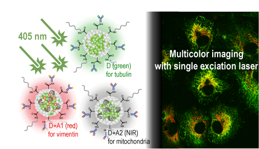 Green-, Red-, and Near-Infrared-Emitting Polymer Dot Probes for Simultaneous Multicolor Cell Imaging with a Single Excitation Wavelength 이미지