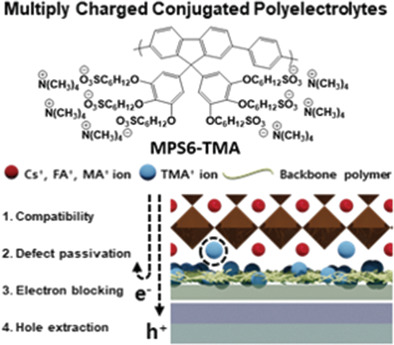 Multiply Charged Conjugated Polyelectrolytes as a Multifunctional Interlayer for Efficient and Scalable Perovskite Solar Cells 이미지