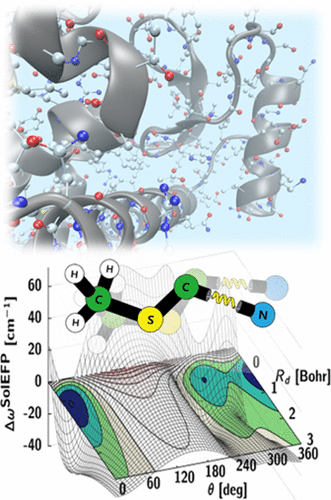 Vibrational Probes: From Small Molecule Solvatochromism Theory and Experiments to Applications in Complex Systems 이미지