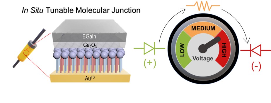 Spatiotemporal Nitric Oxide Modulation via Electrochemical Platform to Profile Tumor Cell Response 이미지