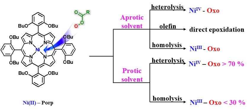 Synthesis, Characterization, and Efficient Catalytic Activities of a Nickel(II) Porphyrin: Remarkable Solvent and Substrate Effects on Participation of Multiple Active Oxidants 이미지