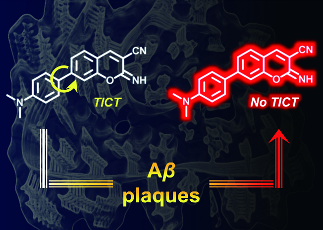 Harnessing Intramolecular Rotation to Enhance Two‐photon Imaging of Aβ Plaques Through Minimizing Background Fluorescence 이미지