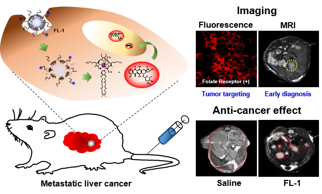 Liposomal Texaphyrin Theranostics for Metastatic Liver Cancer 이미지