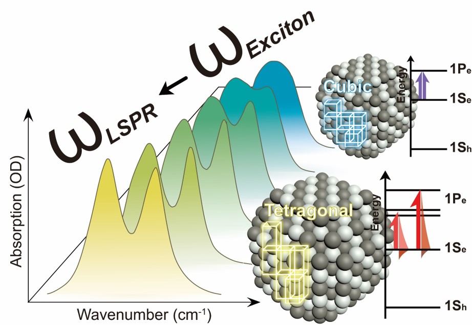 Transformation of Colloidal Quantum Dot: From Intraband Transition to Localized Surface Plasmon Resonance 이미지