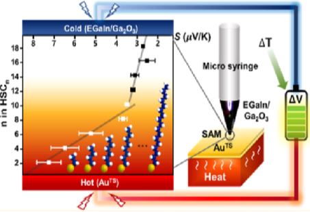 Two Different Length-Dependent Regimes in Thermoelectric Large-Area Junctions of n-Alkanethiolates 이미지