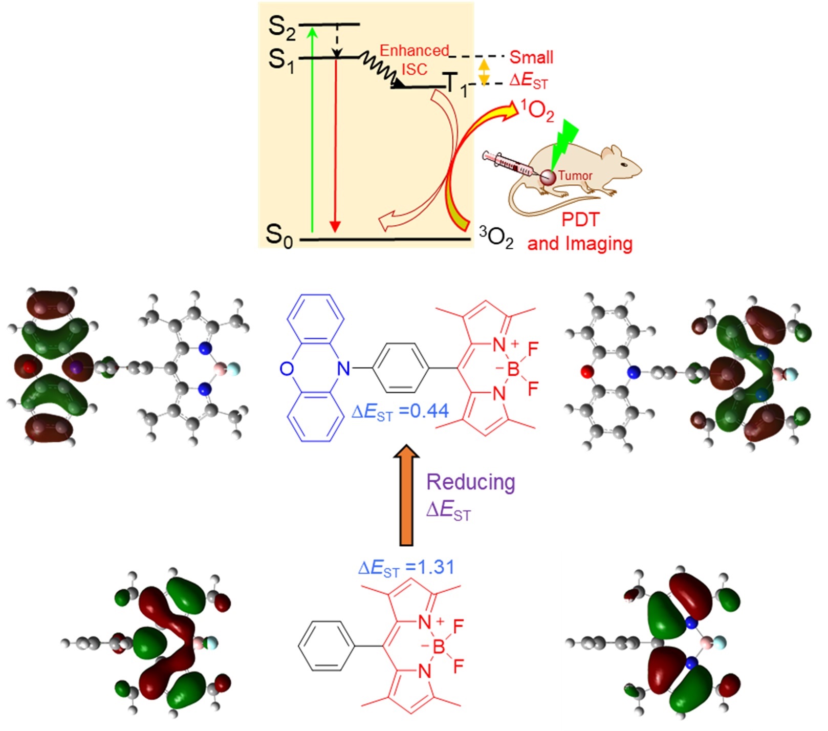 Molecular Design of Highly Efficient Heavy-Atom-Free Triplet BODIPY Derivatives for Photodynamic Therapy and Bioimaging 이미지