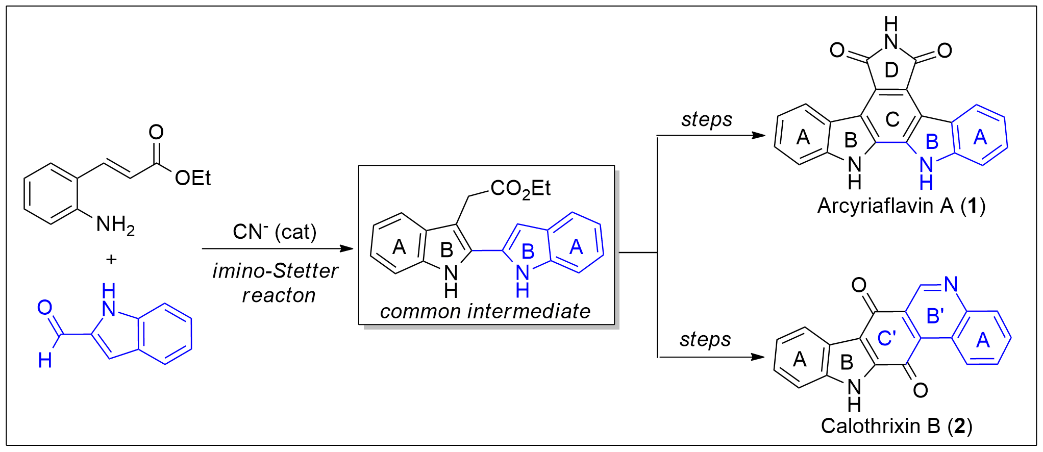 Total Syntheses of Arcyriaflavin A and Calothrixin B Using 2,2′-Bisindole-3-acetic Acid Derivative as a Common Intermediate 이미지