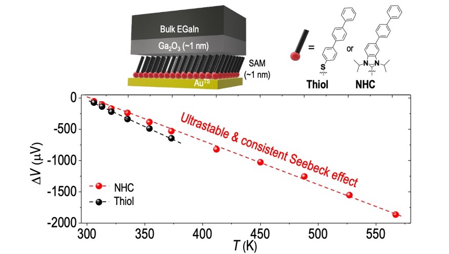 Rabies Virus Targeting NIR-II Phototheranostics