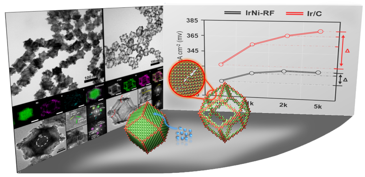 Lanthanide metal-assisted synthesis of rhombic dodecahedral MNi (M=Ir and Pt) nanoframes toward efficient oxygen evolution catalysis 이미지