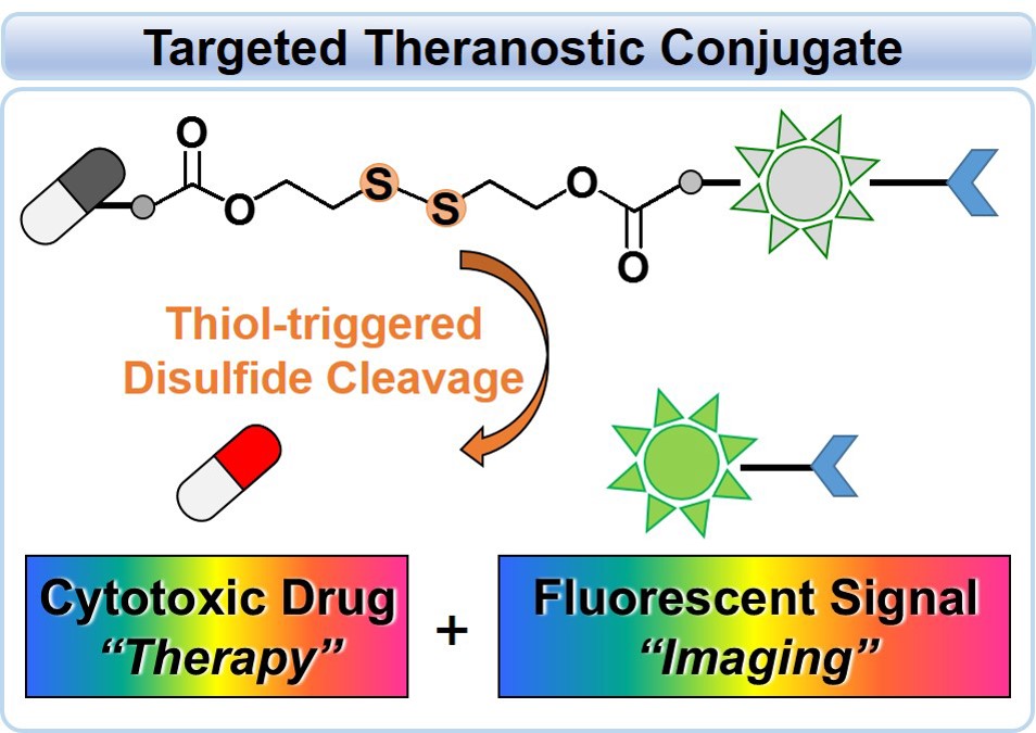 Disulfide-Based Multifunctional Conjugates for Targeted Theranostic Drug Delivery 이미지