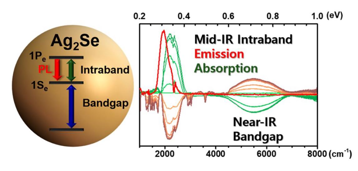 Mid-Infrared Intraband Transition of Metal Excess Colloidal Ag2Se Nanocrystals 이미지