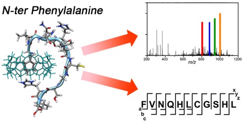 Supramolecular Enhancement of Protein Analysis via the Recognition of Phenylalanine with Cucurbit[7]uril 이미지