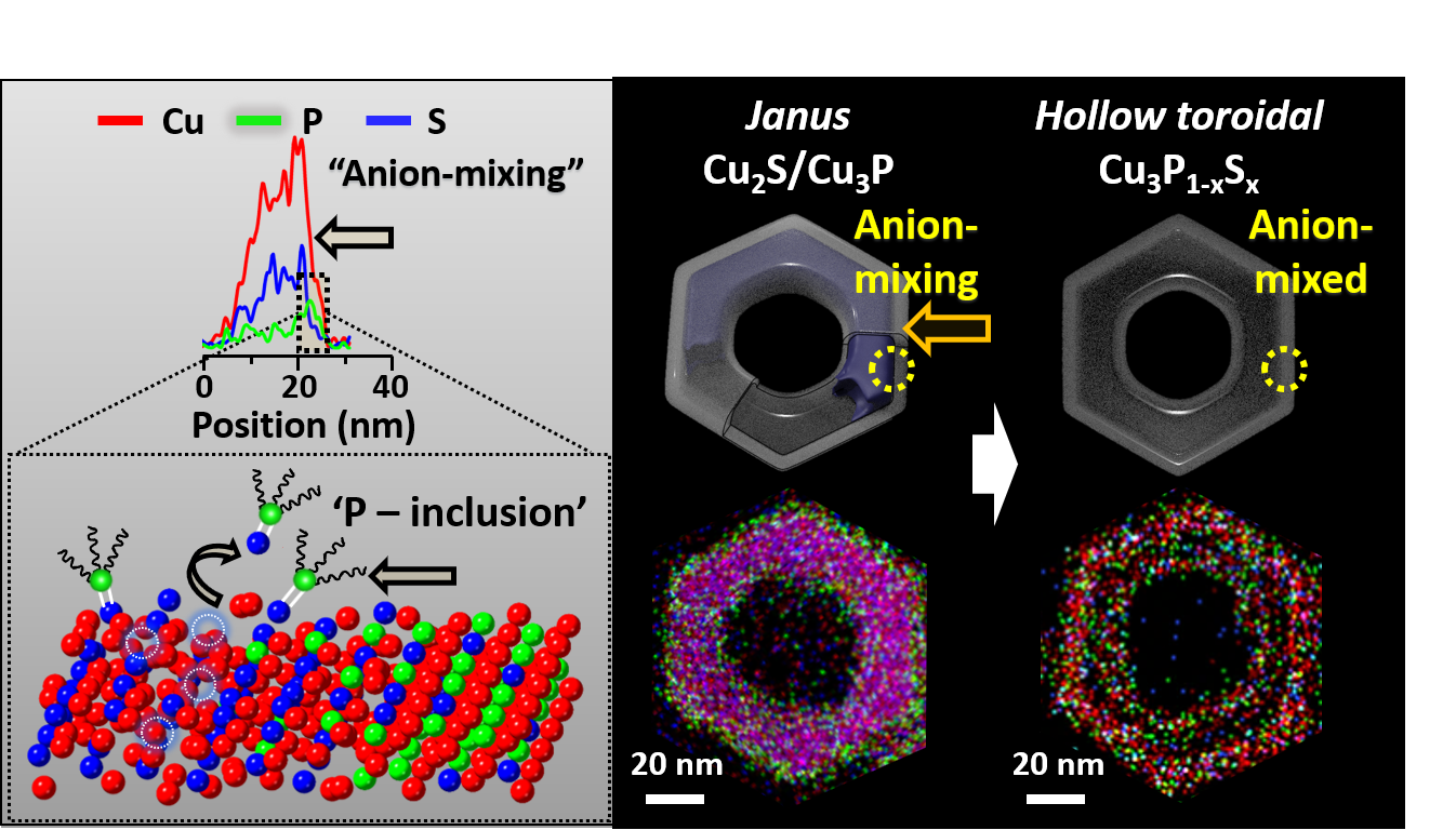 Highly Crystalline Hollow Toroidal Copper Phosphosulfide via Anion Exchange: A Versatile Cation Exchange Nanoplatform 이미지