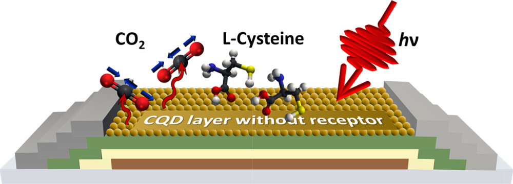 Multifunctional Self-Doped Nanocrystal Thin-Film Transistor Sensors 이미지