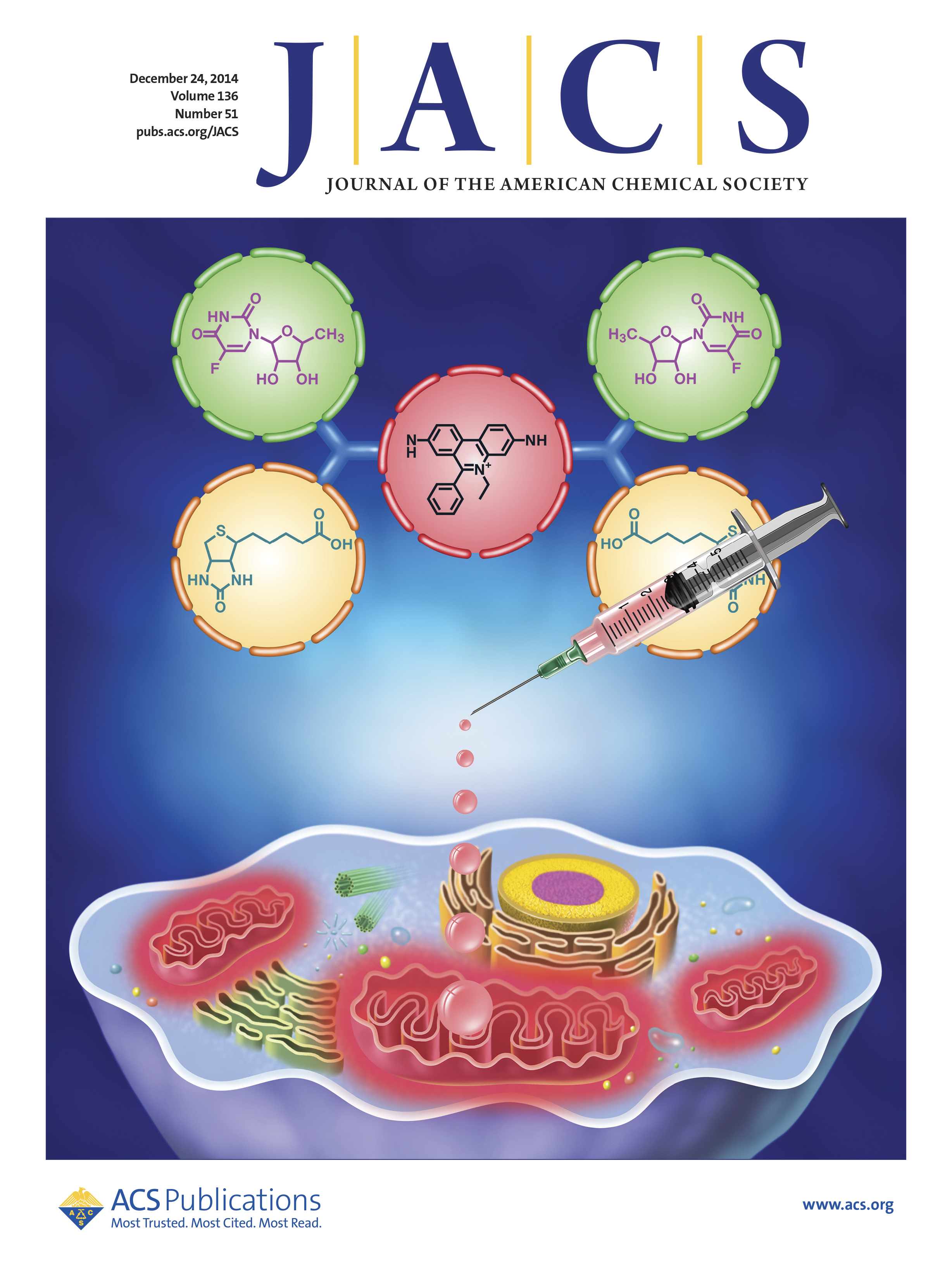 Mitochondrial Induced and Self-Monitored Intrinsic Apoptosis by Antitumor Theranostic Prodrug: In Vivo Imaging and Precise Cancer Treatment 이미지
