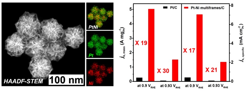 Dendrite-Embedded Platinum–Nickel Multiframes as Highly Active and Durable Electrocatalyst toward the Oxygen Reduction Reaction 이미지