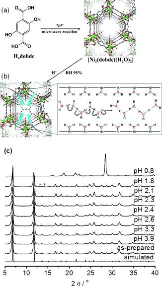pH-Dependent Proton Conducting Behavior in a Metal–Organic Framework Material 이미지