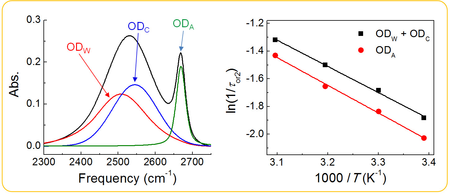 Temperature-dependent dynamics of water in aqueous NaPF6 solution 이미지