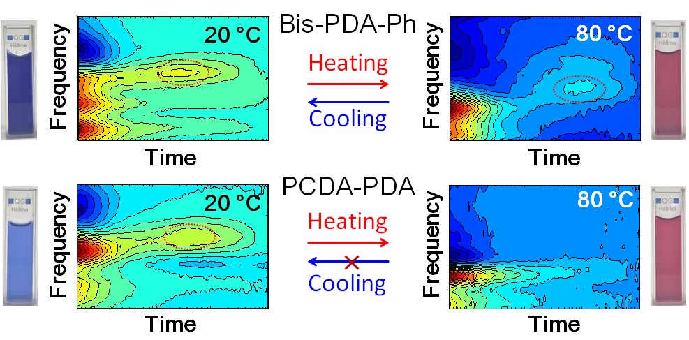 Origin of the Reversible Thermochromic Properties of Polydiacetylenes Revealed by Ultrafast Spectroscopy 이미지