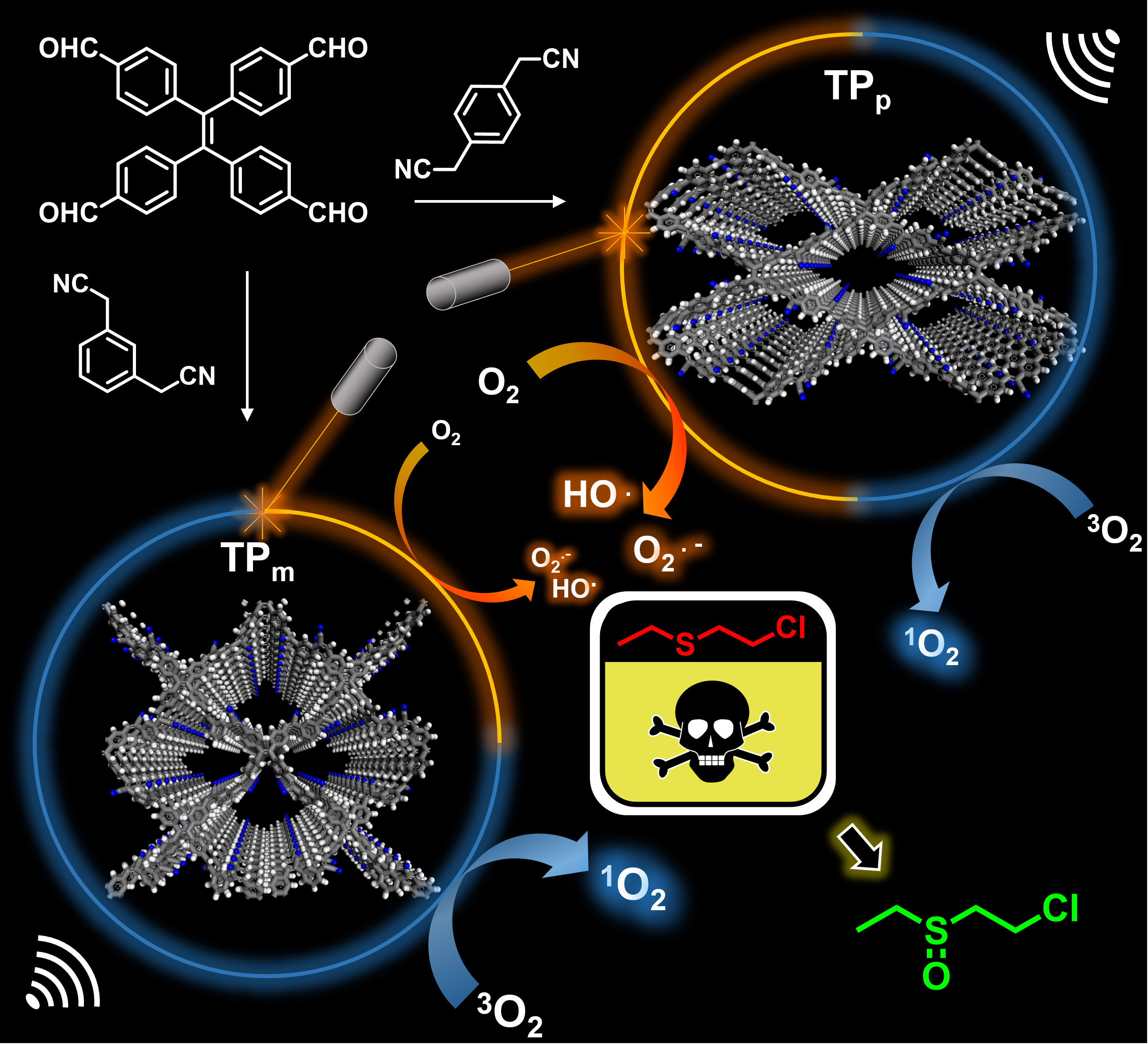 Kinetic Modulation of Amyloid-β (1–42) Aggregation and Toxicity by Structure-Based Rational Design 이미지