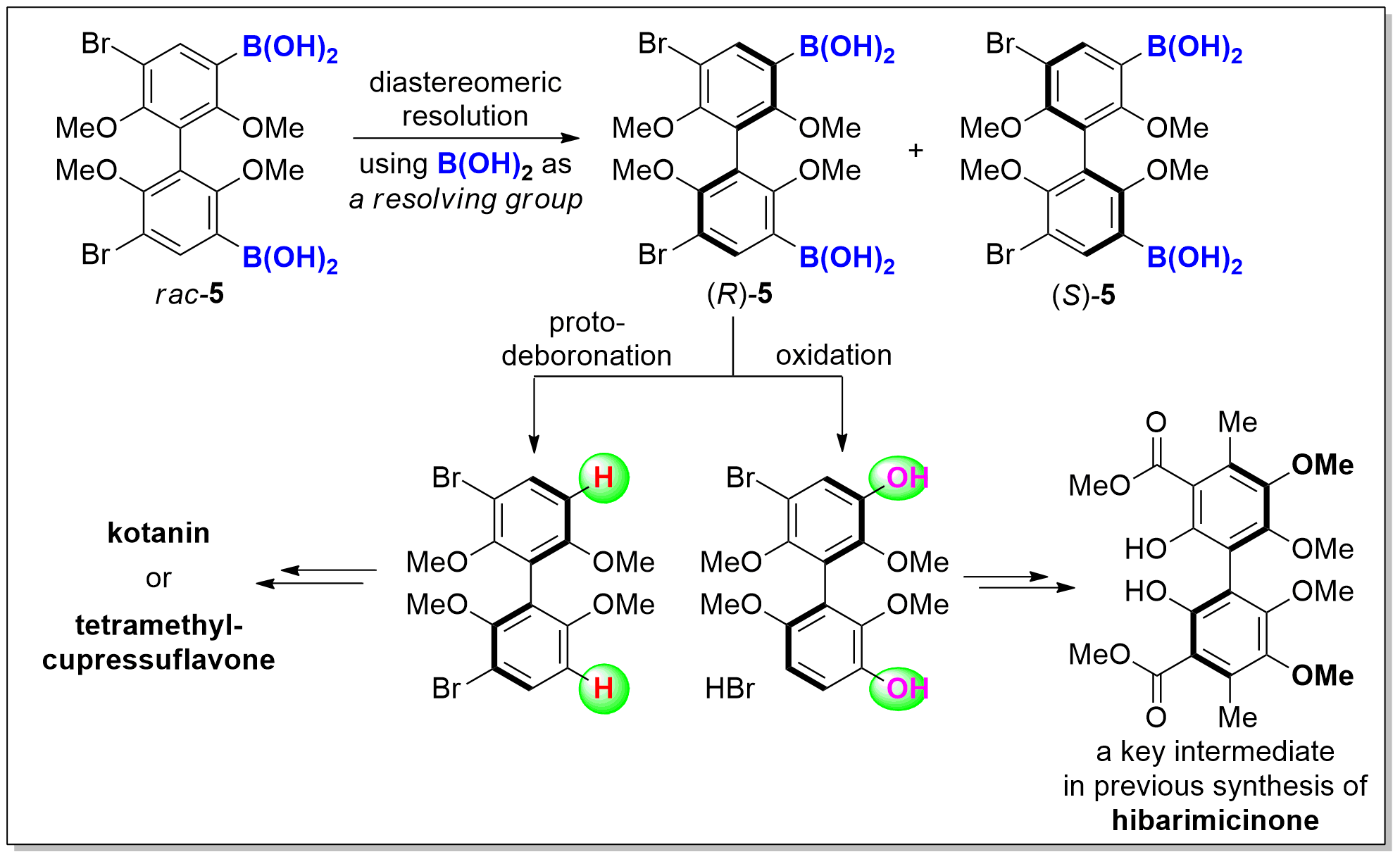 Diastereomeric Resolution of a Racemic Biaryl Boronic Acid and Its Application to Divergent Asymmetric Total Syntheses of Some Axially Chiral Natural Products 이미지