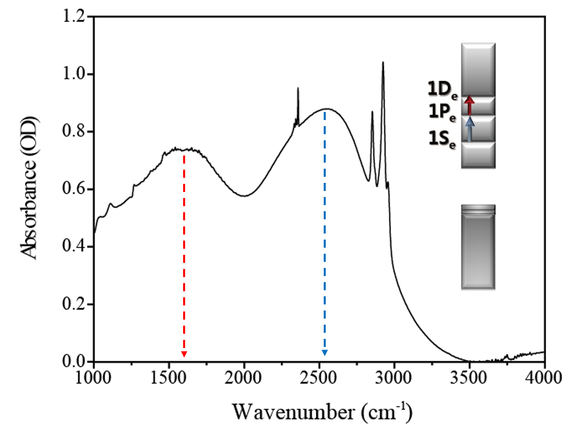 Higher Quantum State Transitions in Colloidal Quantum Dot with Heavy Electron Doping 이미지