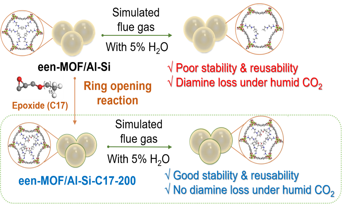 High Ionic Seebeck Effect in Natural Leaves