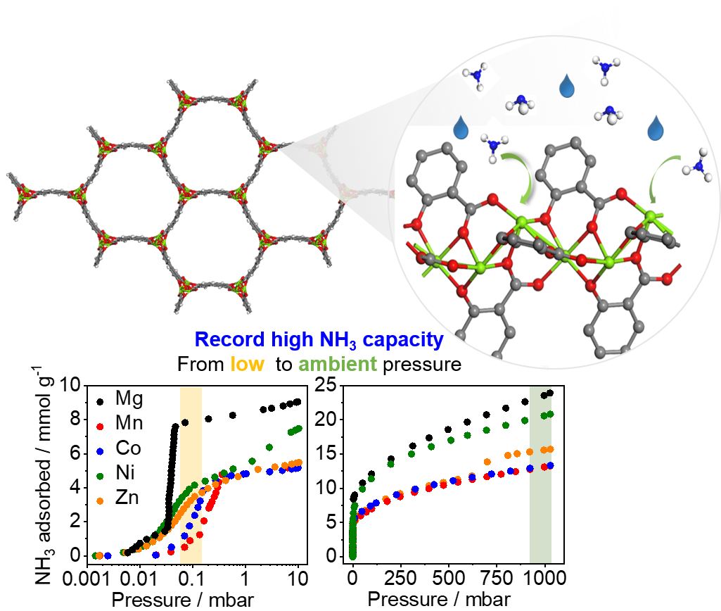 High Ammonia Uptake of a Metal–Organic Framework Adsorbent in a Wide Pressure Range 이미지