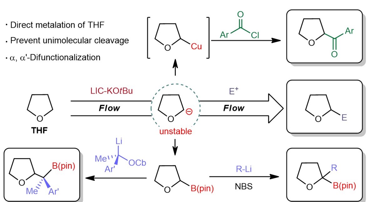 pH Responsible AIEgen-photosensitizers toward Antibacterial Therapeutics