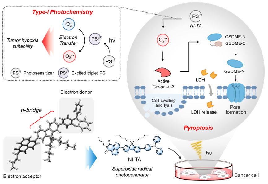 Inter-Sublattice Random Pt(Co, Ni) Alloy Nanoparticle Catalyst for Highly Efficient Oxygen Reduction Reaction