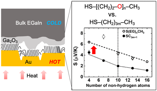 Superexchange Coupling-Induced Enhancements of Thermoelectric Performance in Saturated Molecules 이미지