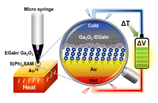 A New Approach for Large-Area Thermoelectric Junctions with Liquid Eutectic Gallium-Indium Electrode 이미지