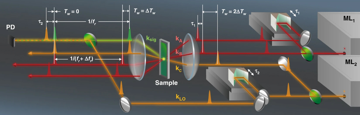 Two-dimensional electronic spectroscopy of bacteriochlorophyll a with synchronized dual mode-locked lasers 이미지