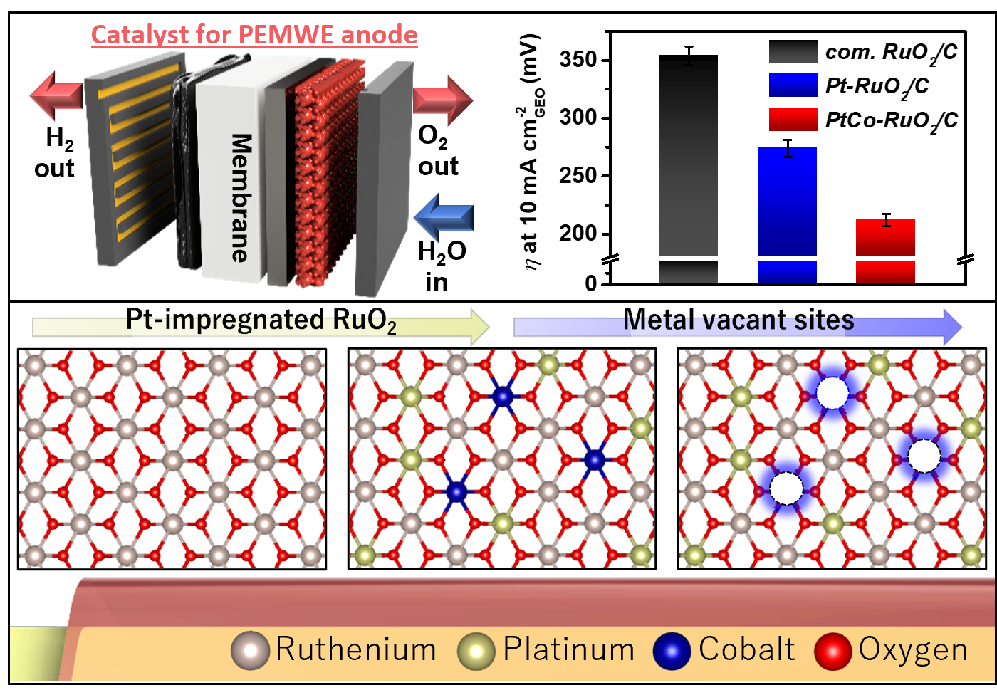 Resonant Raman-Active Polymer Dot Barcodes for Multiplex Cell Mapping 이미지