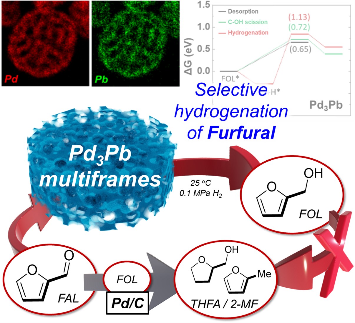 Mitochondria-targeted nanotheranostic: Harnessing single-laser-activated dual phototherapeutic processing for hypoxic tumor treatment 이미지