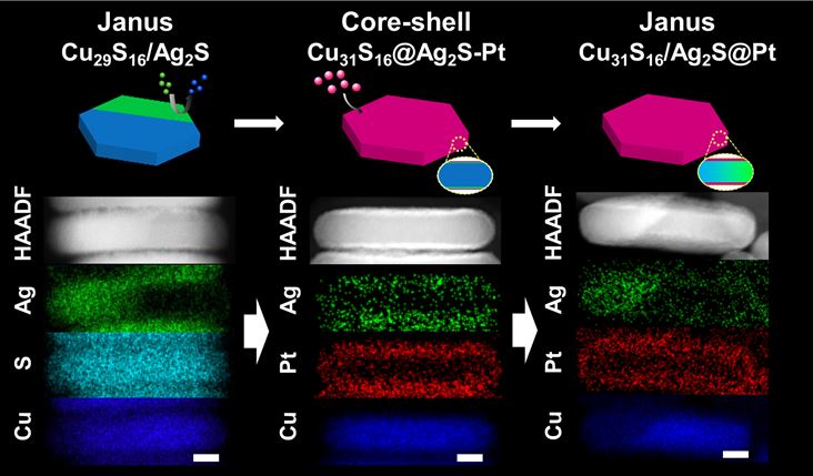 Janus to Core-Shell to Janus: Facile Cation Movement in Cu2-xS/Ag2S Hexagonal Nanoplates Induced by Surface Strain Control 이미지