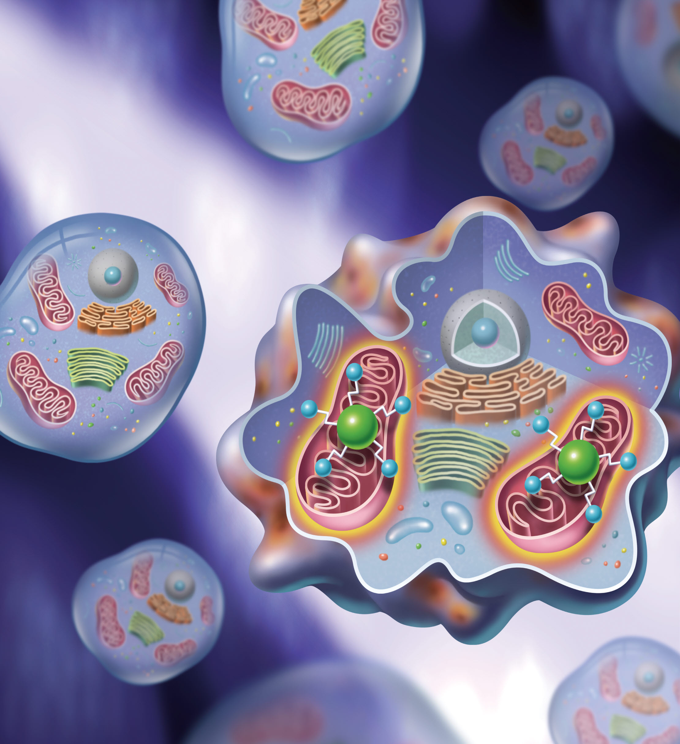 Enhanced NIR Radiation-Triggered Hyperthermia by Mitochondrial Targeting 이미지